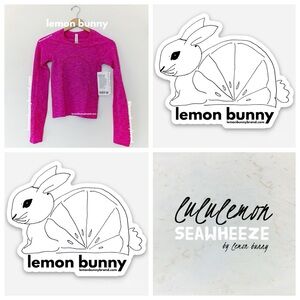 lululemon Limited Ed Swiftly Tech Long Sleeve SeaWheeze Chroma Pow Pink Sz 2 NWT